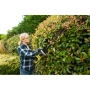 фото кусторез ryobi rht36b61r